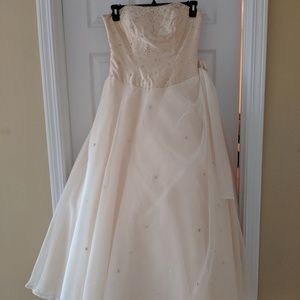 Champagne Wedding/Sweet 16 Ball Gown